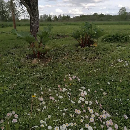 펜션 Sillavahi Maja *