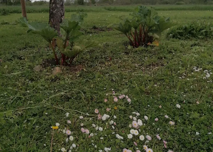 Holiday home Sillavahi Maja *